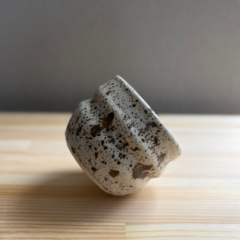 Vanilla Chocolate Chip