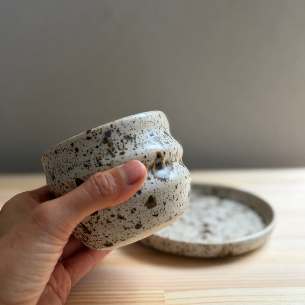 Vanilla Chocolate Chip