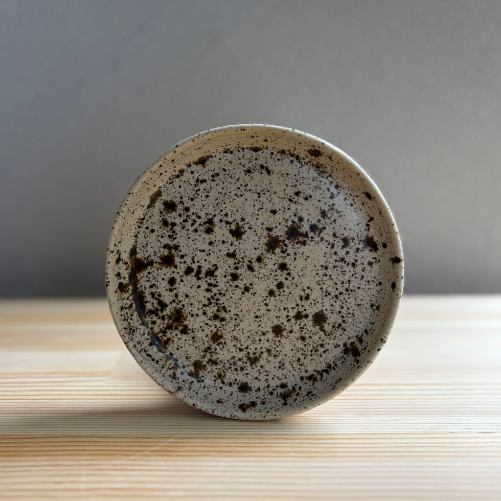 Vanilla Chocolate Chip