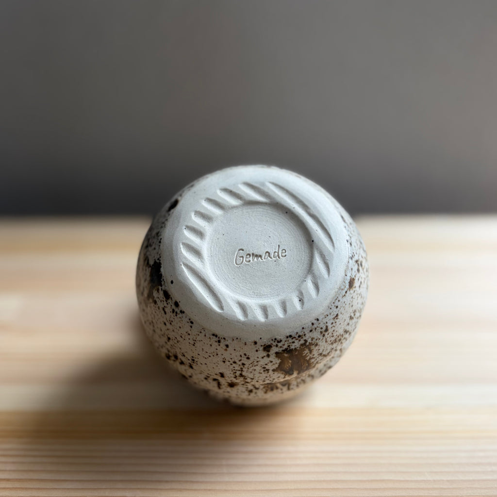 Vanilla Chocolate Chip