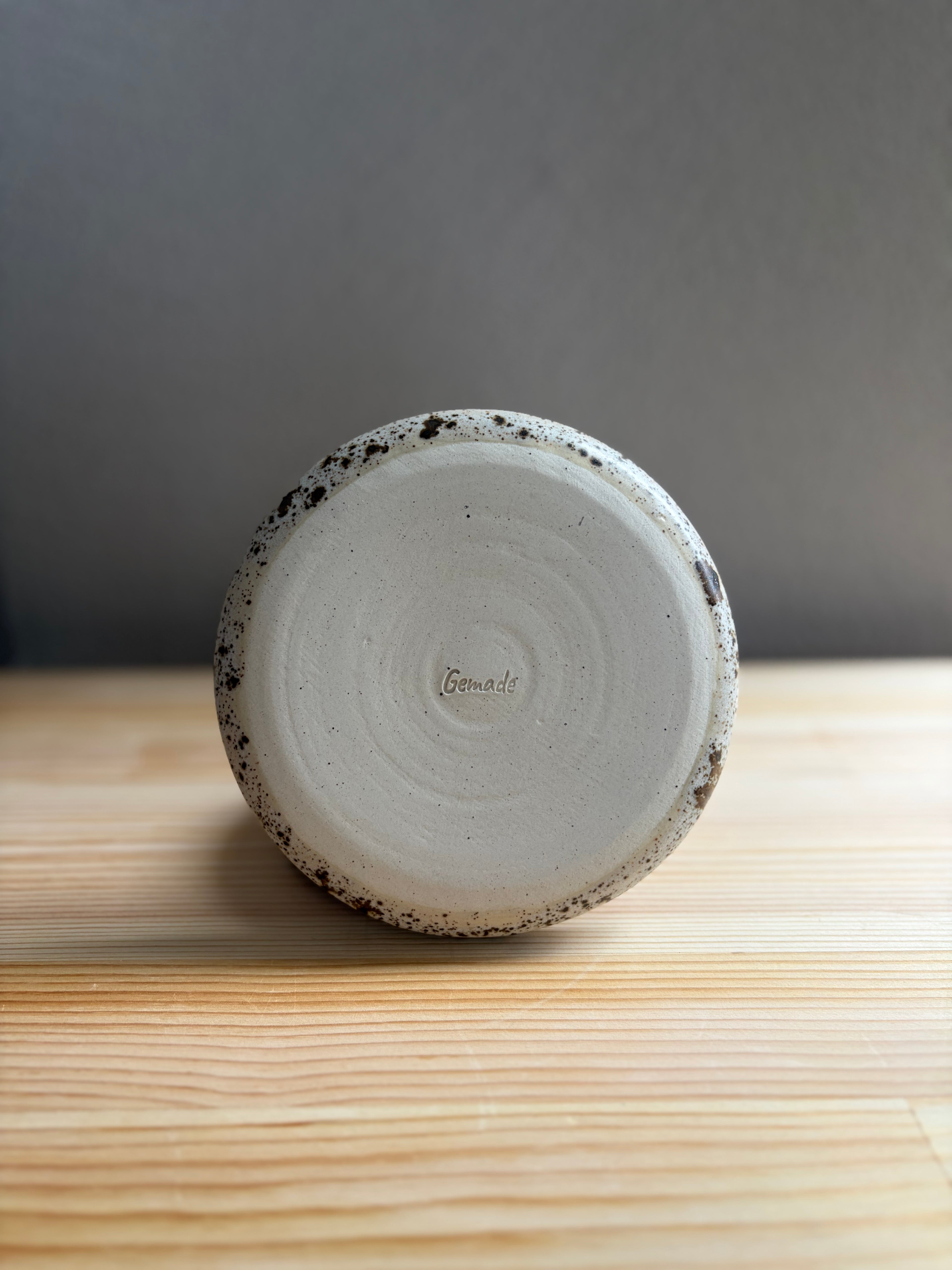 Vanilla Chocolate Chip