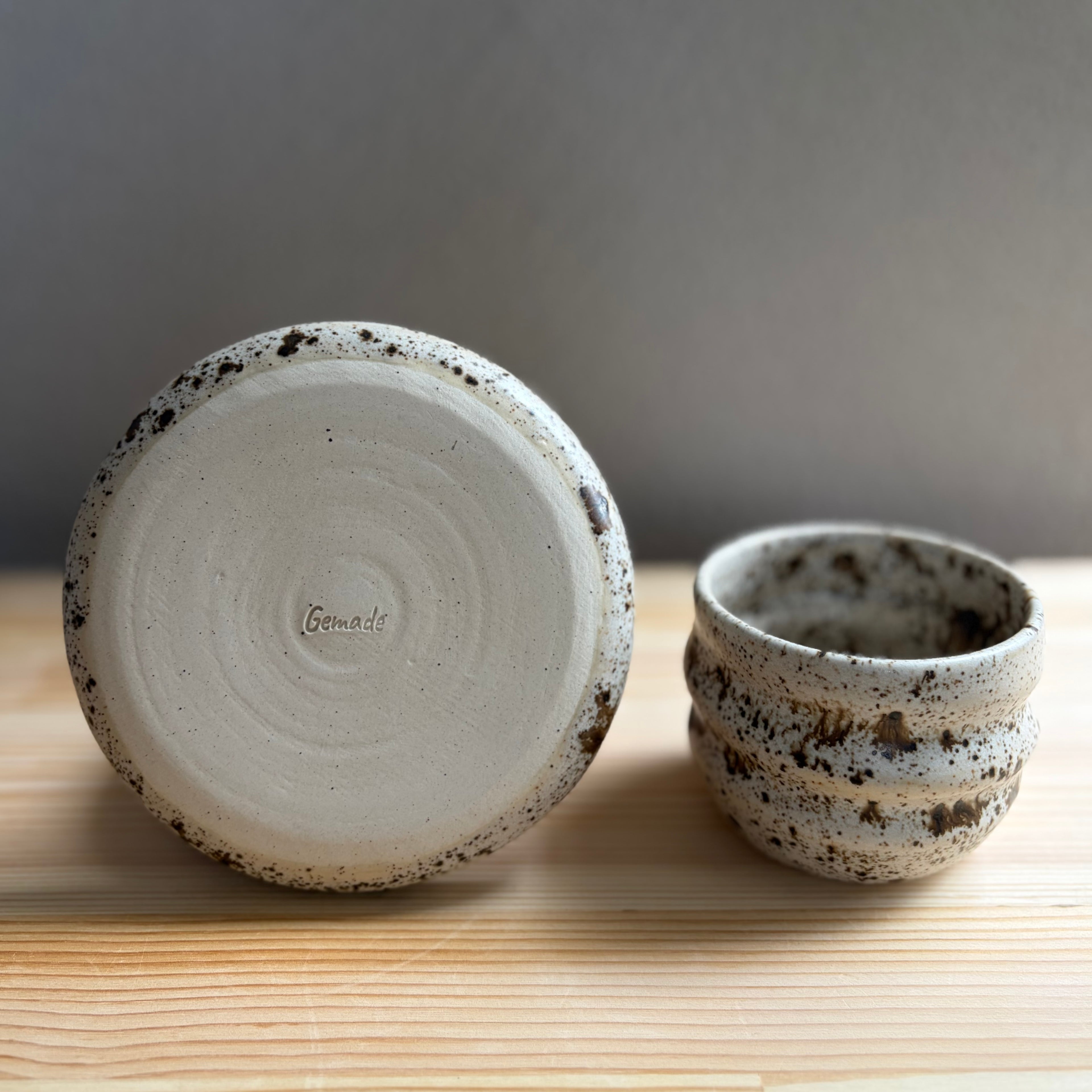 Vanilla Chocolate Chip