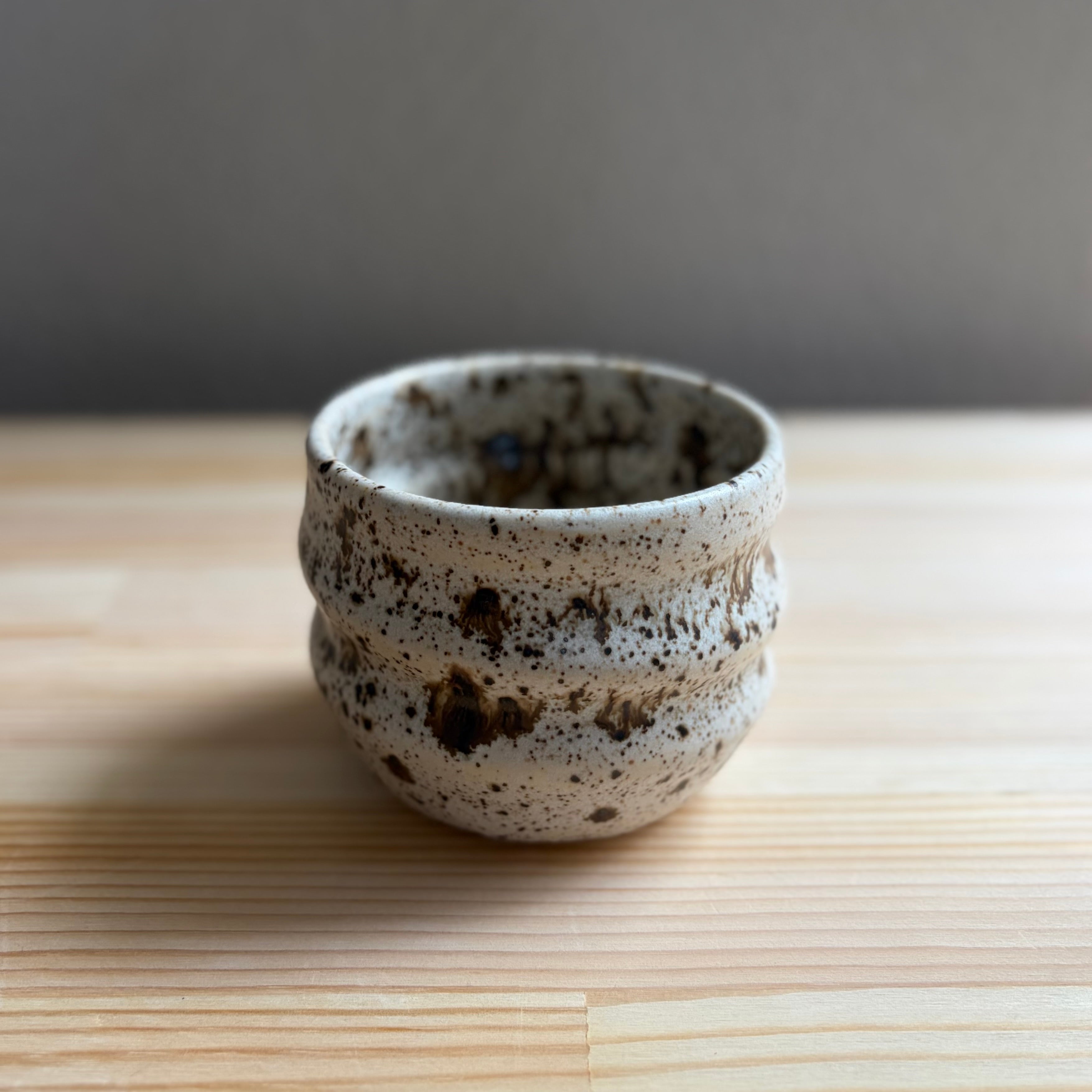 Vanilla Chocolate Chip